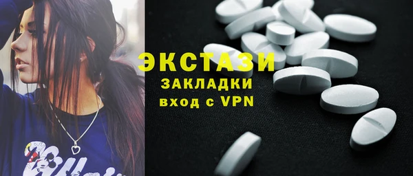 хмурый Алексин