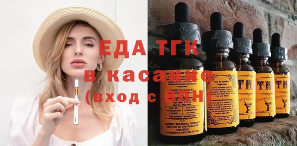 хмурый Алексин