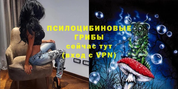 гашик Алзамай