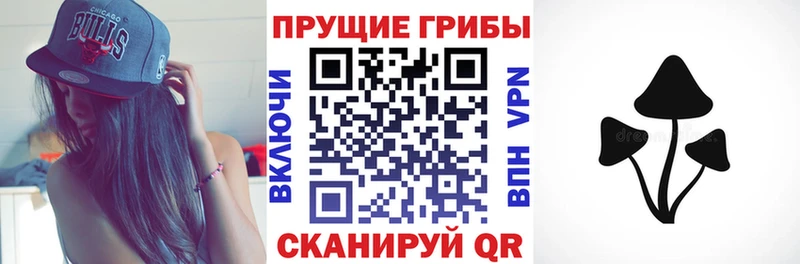 Псилоцибиновые грибы Psilocybe  наркота  Дудинка 